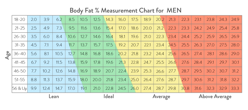 The Benefits of a Body Composition Scale — SquareTrade Blog