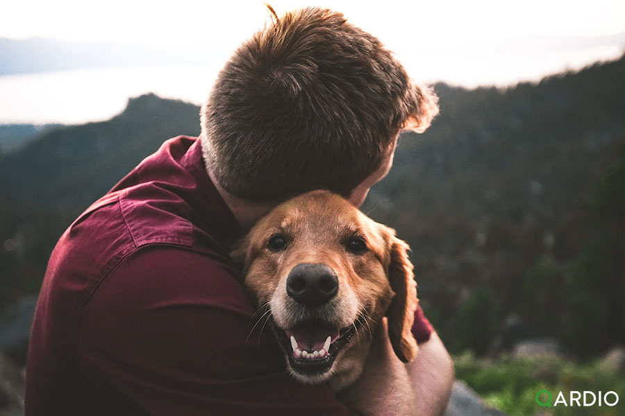 How pets can be good for your heart